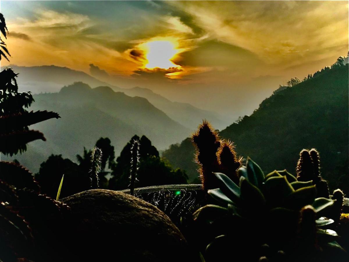 埃勒海德景度假屋 埃拉 外观 照片